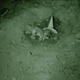 Illustration for article titled Review: “Buried Alive, 6 Star Review, Public Speaking”